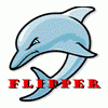 FLIPPER™